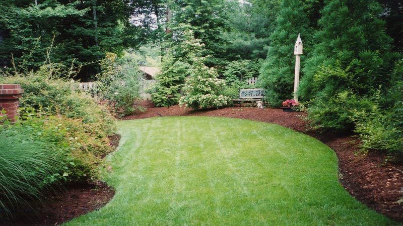 Hire Quality Assistance for Tree Cutting in Spokane Valley, WA