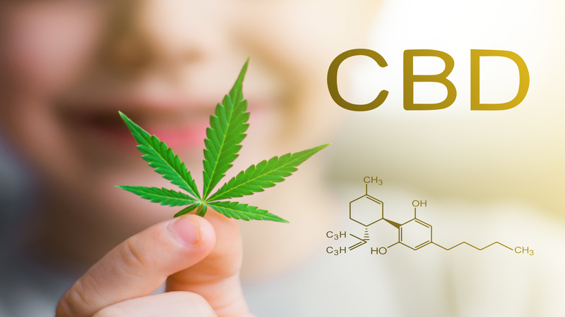 Unlock New Career Paths with Cannabis Schools Online from Home