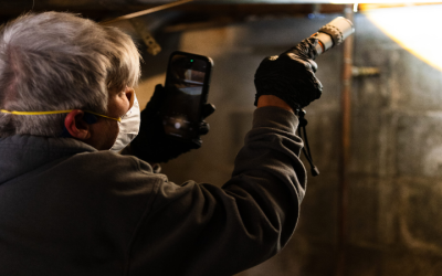 Expert Crawl Space Mold Inspection in Peachtree City GA: What You Need to Know