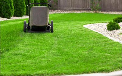 Transform Your Outdoor Space with Landscape and Design Cape Cod MA Experts
