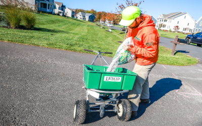 Master Your Greenery: Lawn Care Maintenance Services in Haymarket, VA