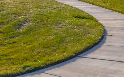 Landscape Designer St. Petersburg FL: Home Transformation Ideas for Beautiful Outdoor Living