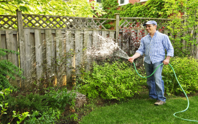 Achieve Lush Lawns with Expert Lawn Treatment in Sellersburg, IN