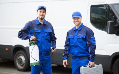 What to Expect During a deq inspection Louisiana and How It Affects Your Vehicle