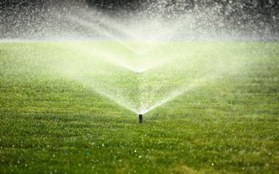 Using Artificial Turf To Create Defined Outdoor Zones In Residential Spaces