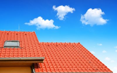 How Tree Debris and Desert Dust Shorten Roof Lifespans