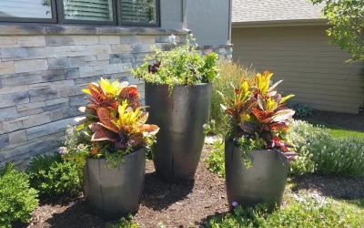 Improve Property Value by Choosing Landscape Services in Elkhorn, NE, for Stunning Yards