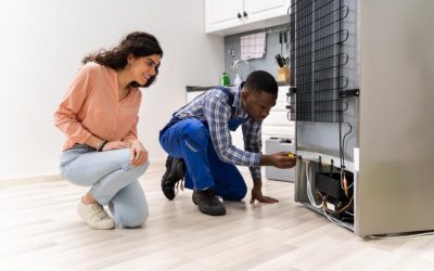When to Call a Specialist for Sub-Zero Fridge Repair